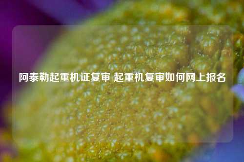 阿泰勒起重机证复审 起重机复审如何网上报名