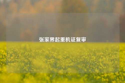 张家界起重机证复审