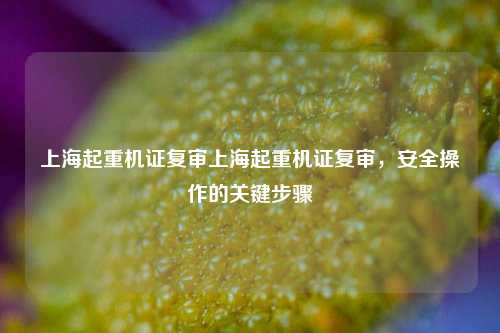 上海起重机证复审上海起重机证复审，安全操作的关键步骤