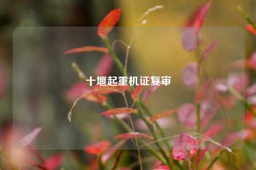 十堰起重机证复审