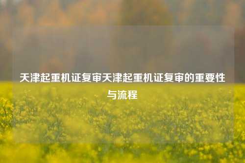 天津起重机证复审天津起重机证复审的重要性与流程