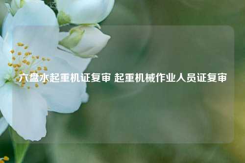 六盘水起重机证复审 起重机械作业人员证复审