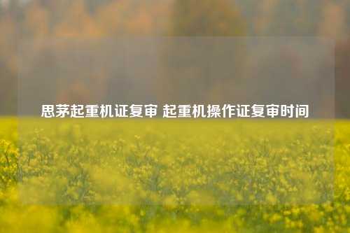 思茅起重机证复审 起重机操作证复审时间