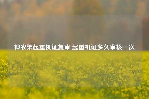 神农架起重机证复审 起重机证多久审核一次