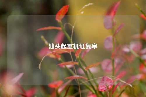 汕头起重机证复审
