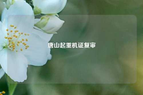 唐山起重机证复审