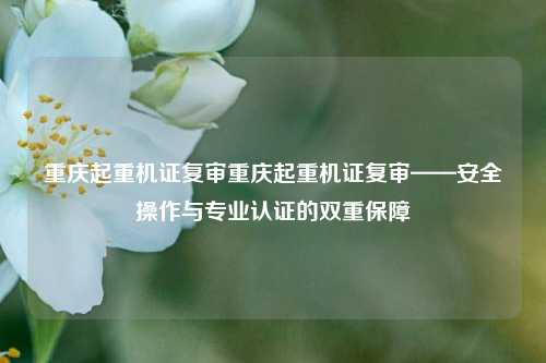 重庆起重机证复审重庆起重机证复审——安全操作与专业认证的双重保障