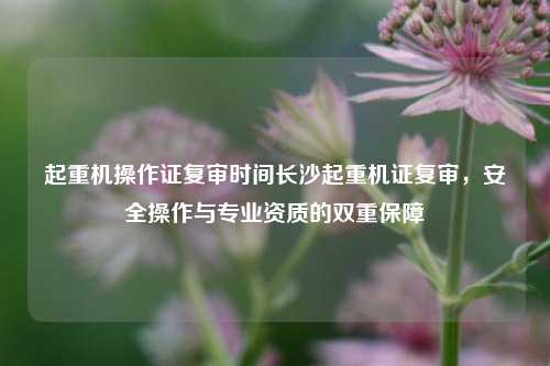 起重机操作证复审时间长沙起重机证复审，安全操作与专业资质的双重保障