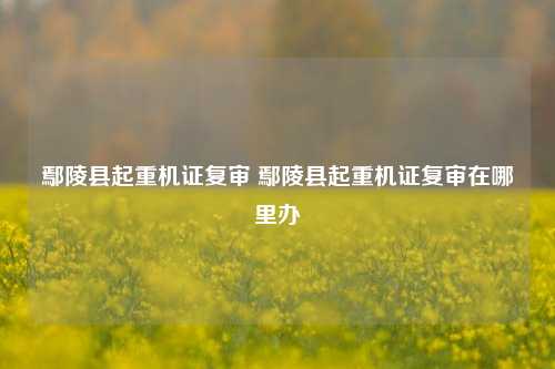 鄢陵县起重机证复审 鄢陵县起重机证复审在哪里办