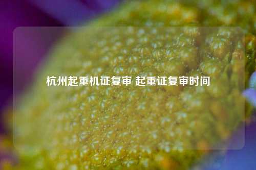 杭州起重机证复审 起重证复审时间