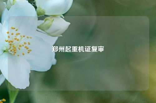 郑州起重机证复审