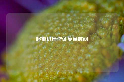起重机操作证复审时间