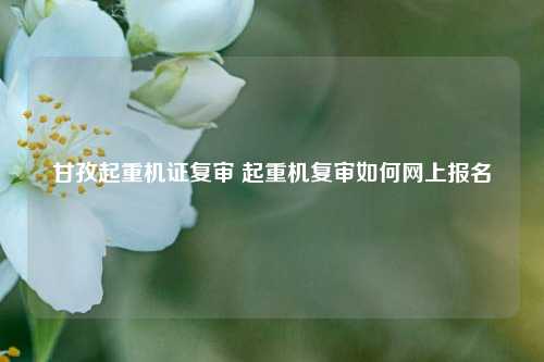 甘孜起重机证复审 起重机复审如何网上报名