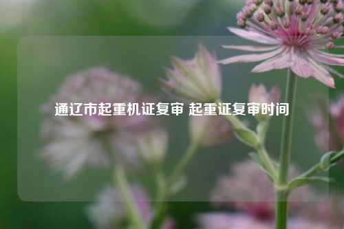 通辽市起重机证复审 起重证复审时间
