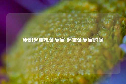 贵阳起重机证复审 起重证复审时间