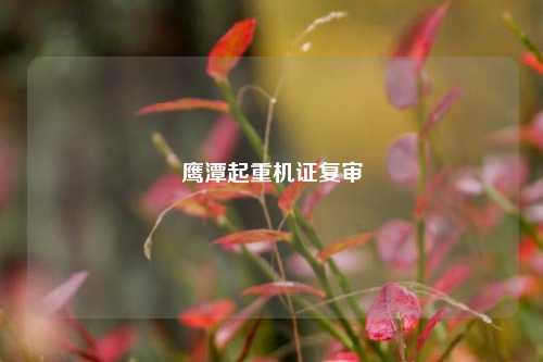 鹰潭起重机证复审