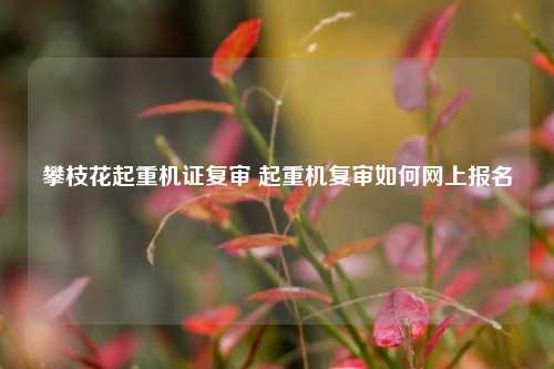 攀枝花起重机证复审 起重机复审如何网上报名