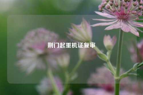 荆门起重机证复审
