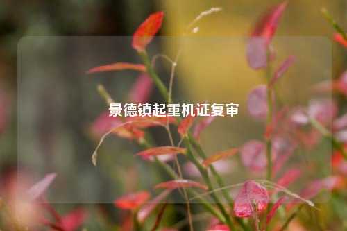 景德镇起重机证复审